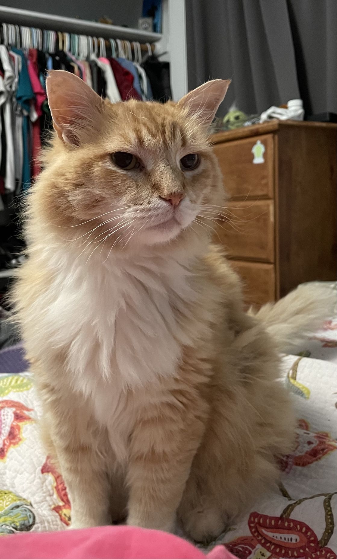 Kiki